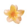 Pince à Cheveux - Fleur Hawaienne - Orange