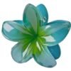 Pince à Cheveux - Fleur Hawaienne - Vert