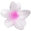 Pince à Cheveux - Fleur Hawaienne - Rose
